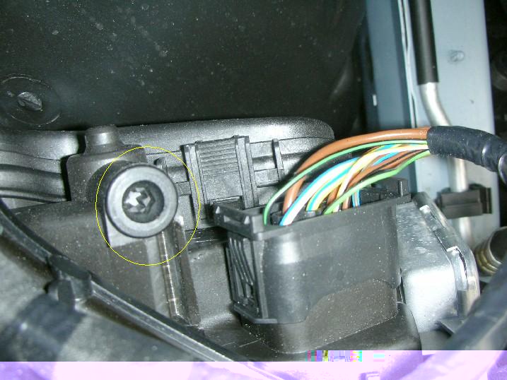 xenon5.jpg