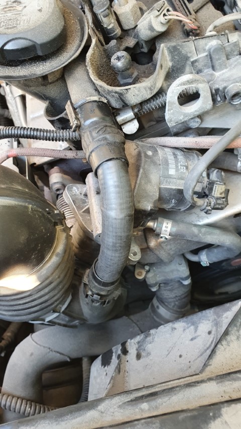 EGR4 (Small).jpg
